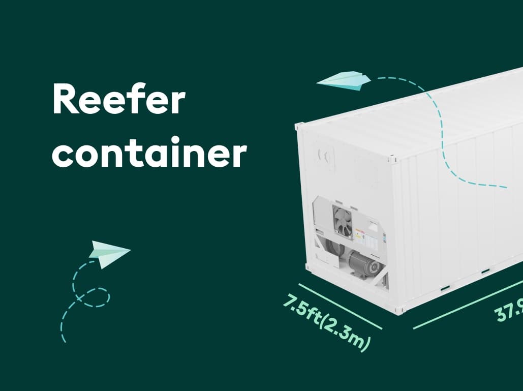 Reefer Container: How It Works, Sizes & Cost